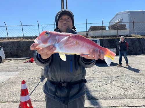 アマダイの釣果
