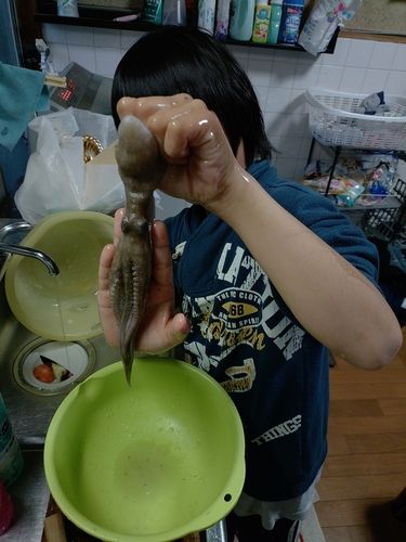 釣果