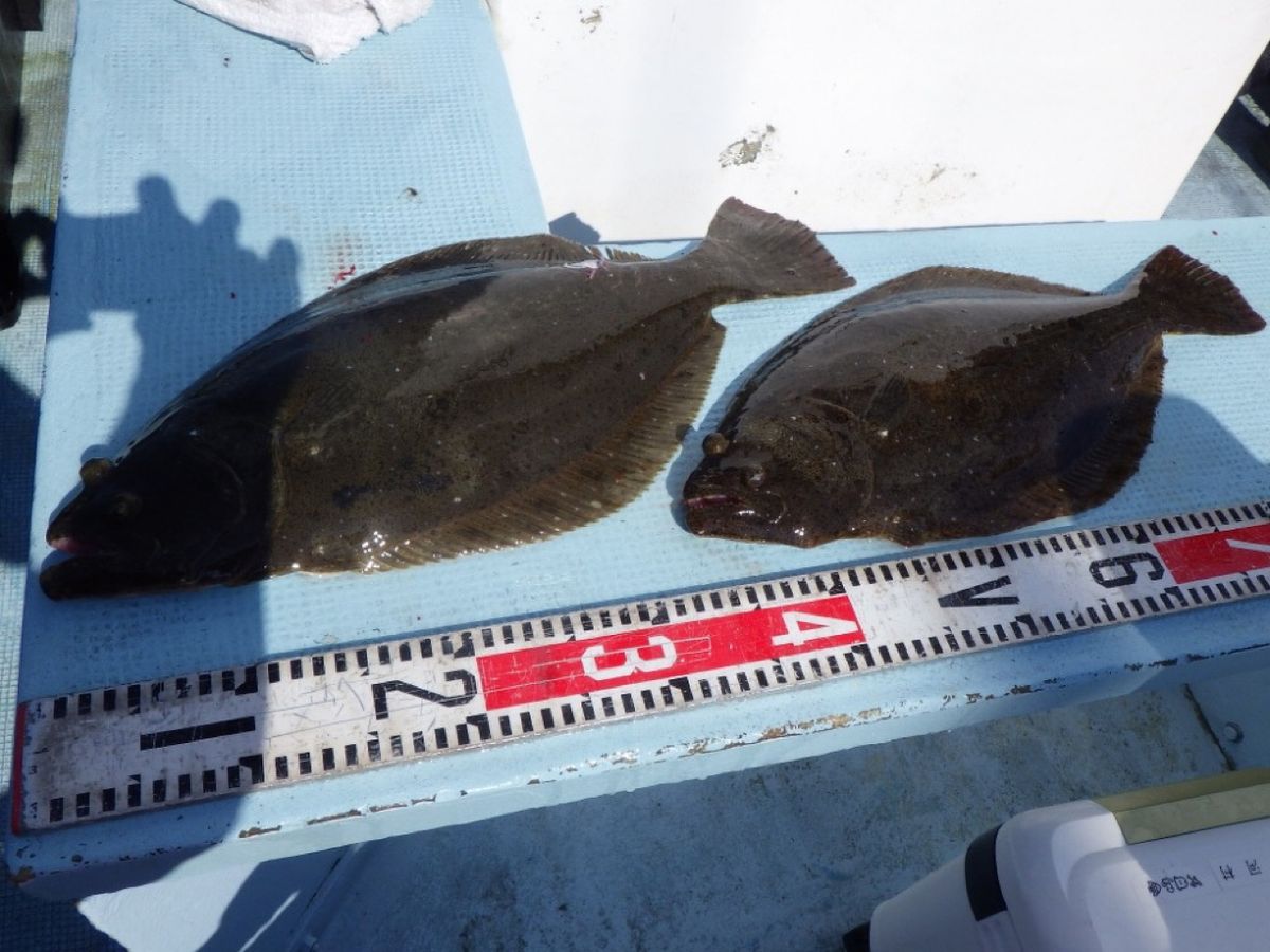 石川釣船@船長さんの釣果 2枚目の画像