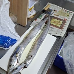 タチウオ