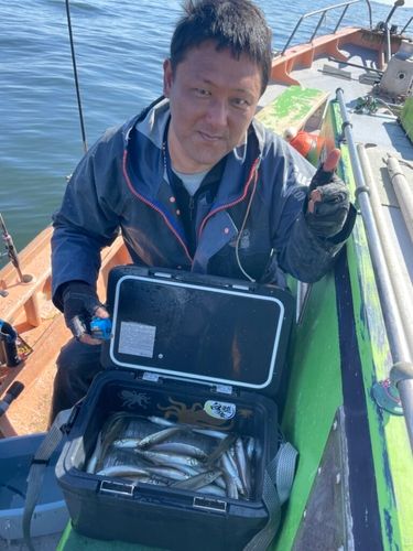 シロギスの釣果