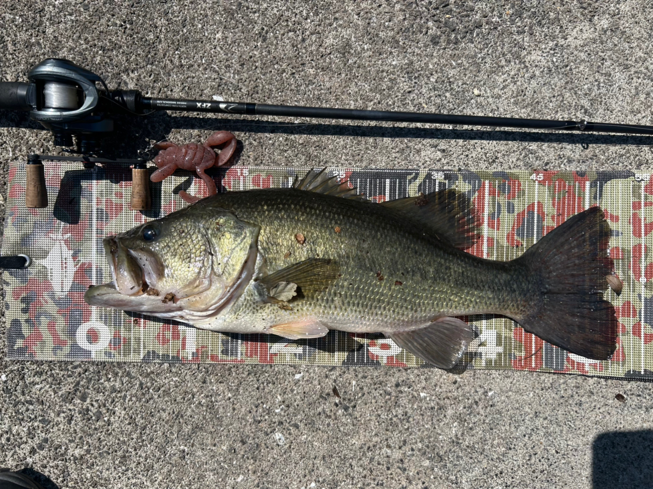 Seaguar シーガー フロロマイスター 4.0号/16.0lb/クリア/240mの