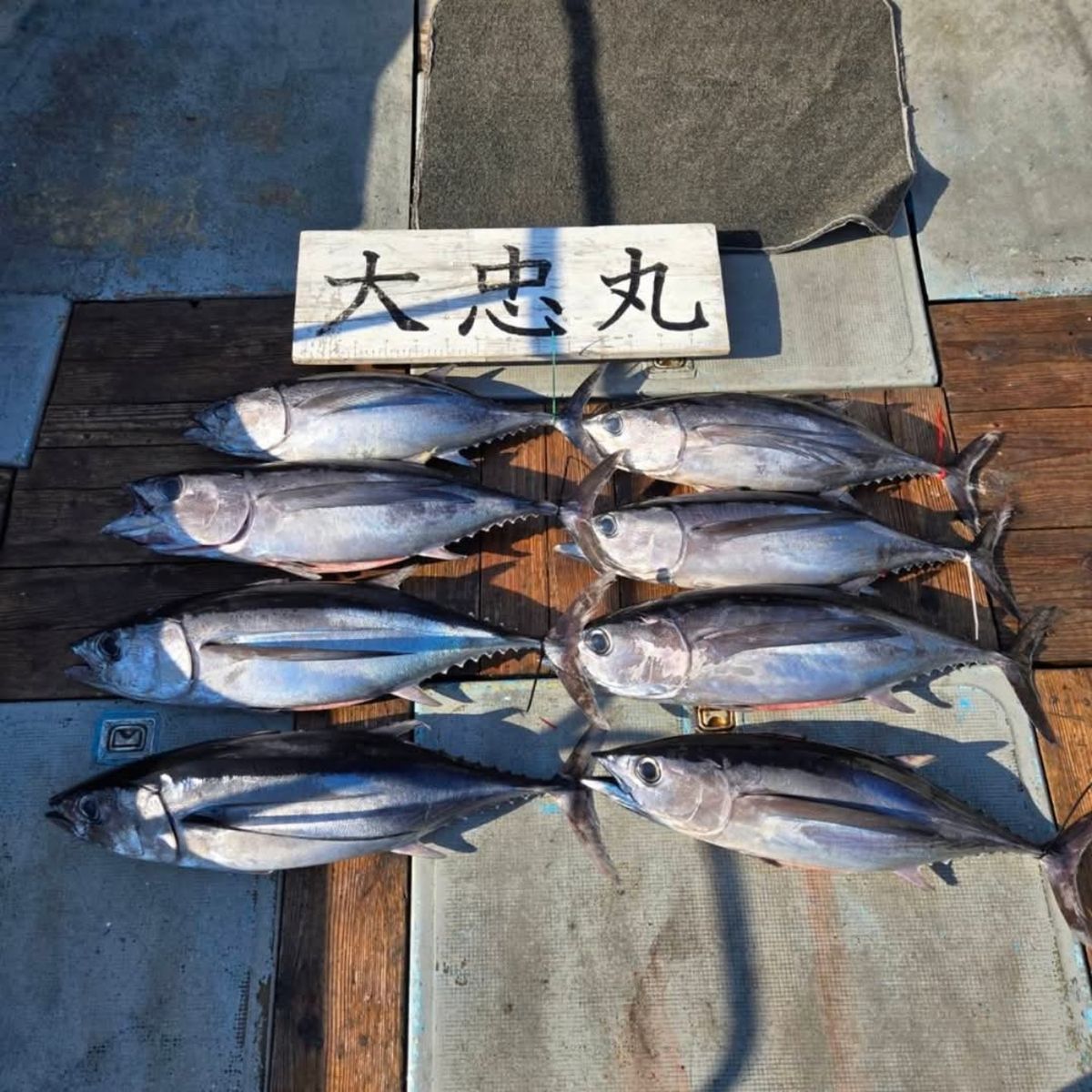 グっさんさんの釣果 2枚目の画像