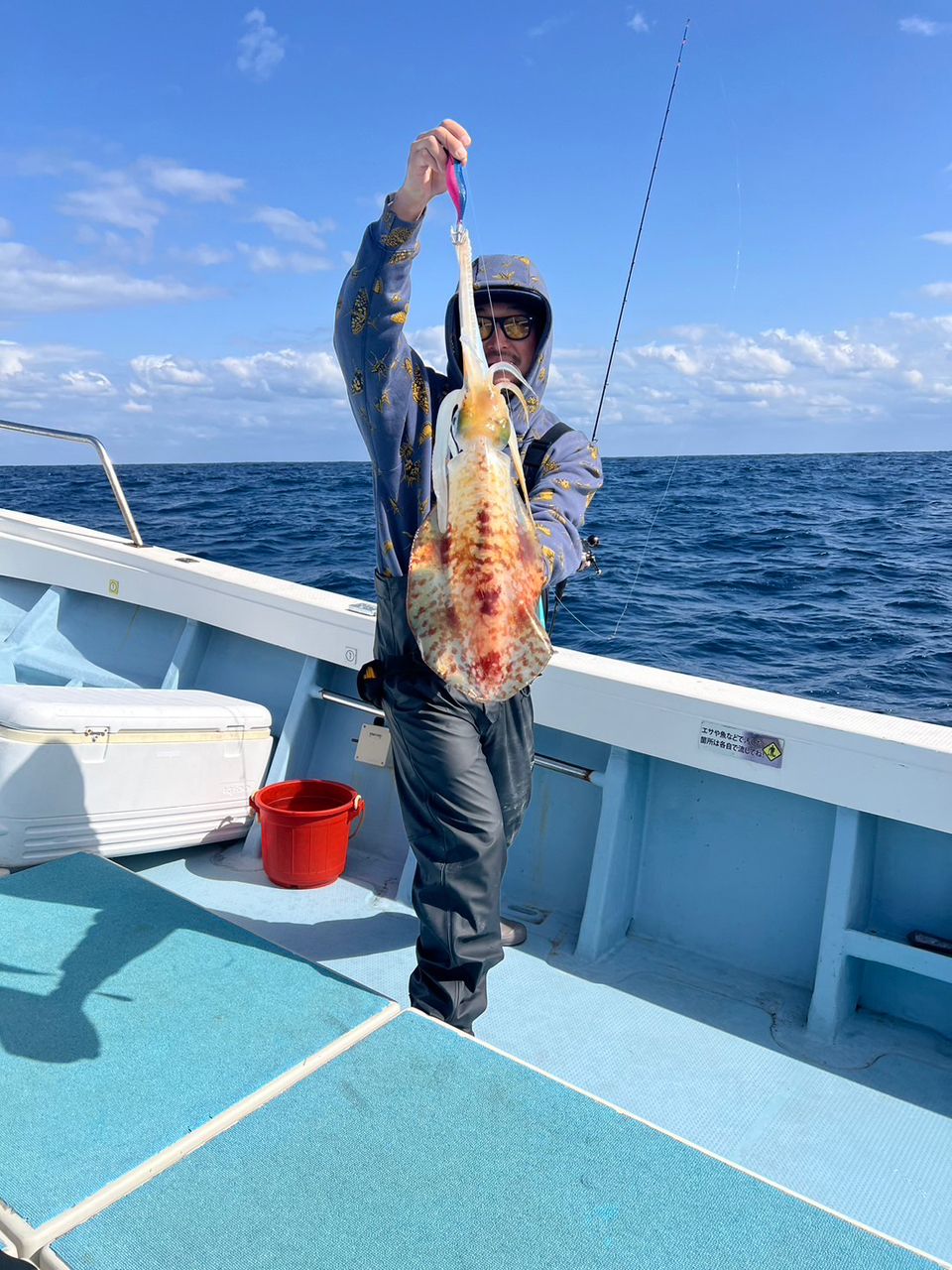 いかおとこさんの釣果 3枚目の画像
