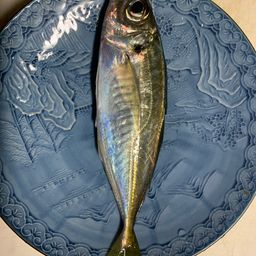 アジ