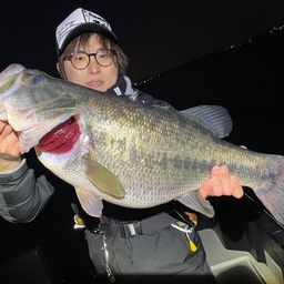 ブラックバス