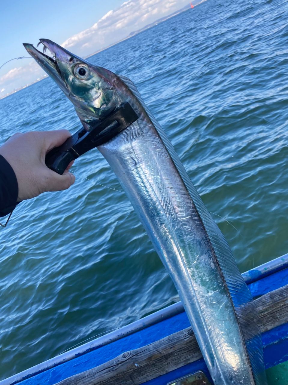 since 2020さんの釣果 2枚目の画像