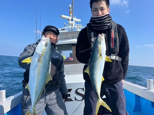 ヒラマサの釣果