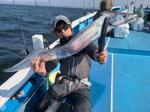 タチウオの釣果