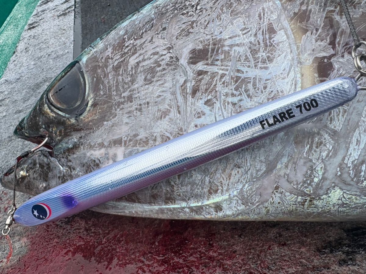 タイガーフィッシング奏丸さんの釣果 3枚目の画像