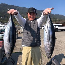 ビンチョウマグロ