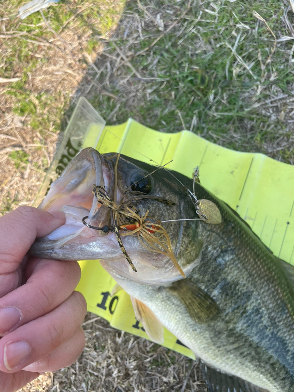 SHIMANO 18ポイズン アドレナ 172H-2の最安値・インプレ・釣果 SHIMANO 18ポイズン アドレナ 172H-2の最安値・インプレ・釣果