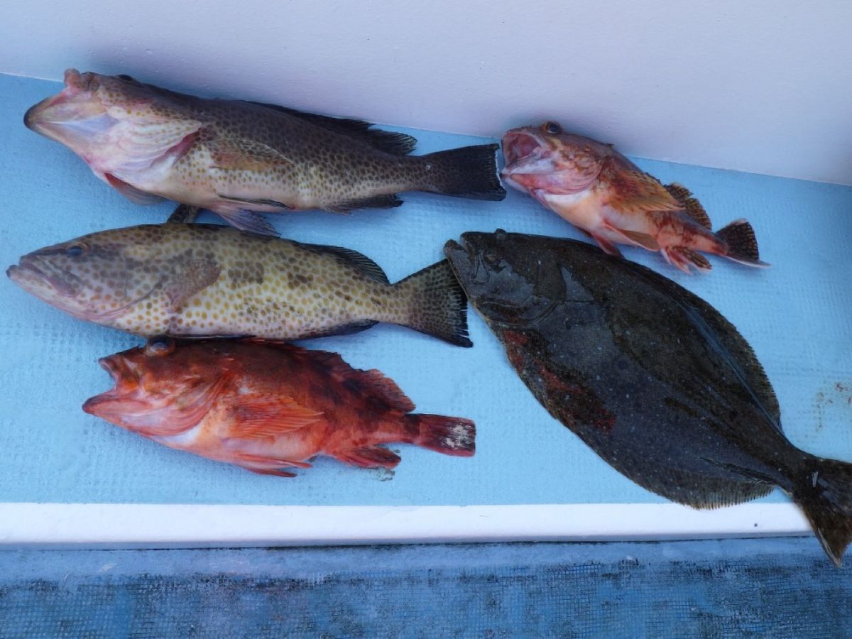 石川釣船@船長さんの釣果 2枚目の画像