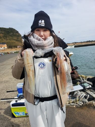 ヤリイカの釣果