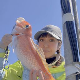アマダイ