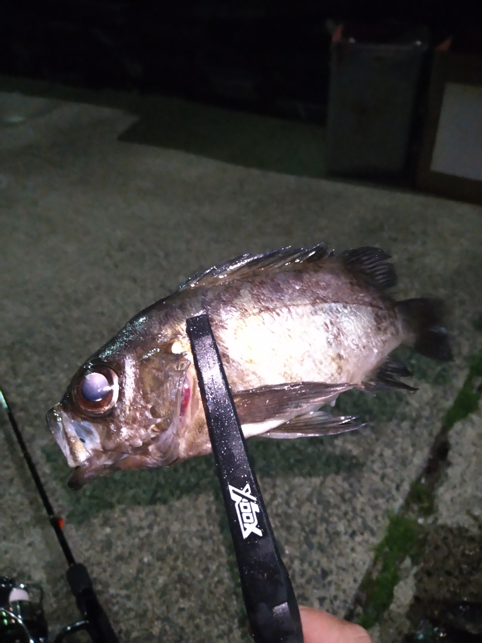YAMAGA Blanks ブルーカレント プラグモデル 73plug Seamlessの YAMAGA Blanks ブルーカレント プラグモデル 73plug Seamlessの