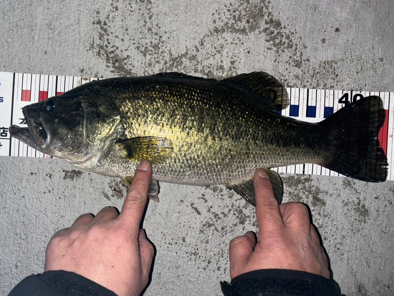 DAIWA 21ブレイゾン C610MH-2の最安値・インプレ・釣果 | 本音の