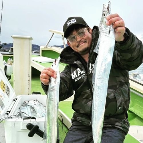 タチウオの釣果