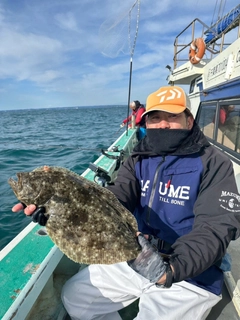 ヒラメの釣果