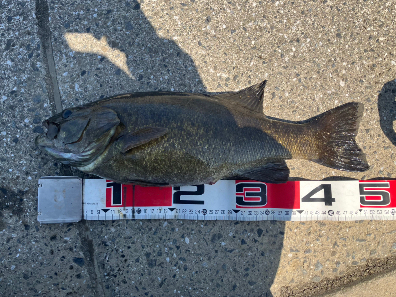 AbuGarcia クロスフィールド XRFS-734L-MBの最安値・インプレ