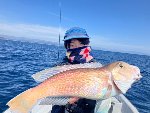 シロアマダイの釣果