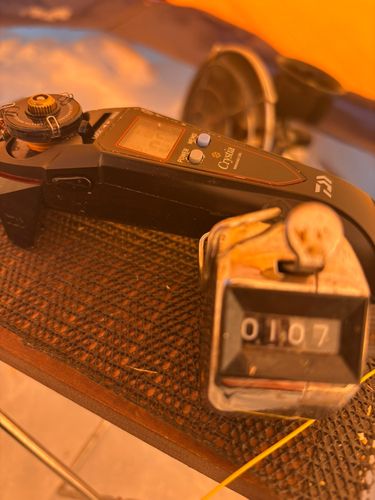 ワカサギの釣果