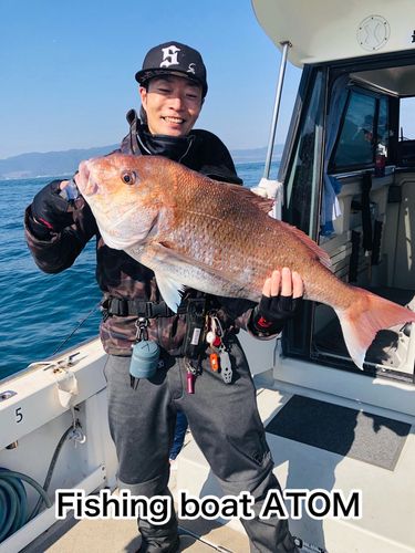 マダイの釣果