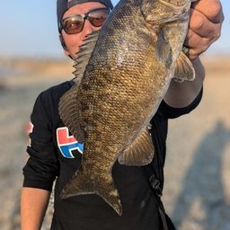 スモールマウスバス