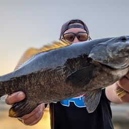 スモールマウスバス