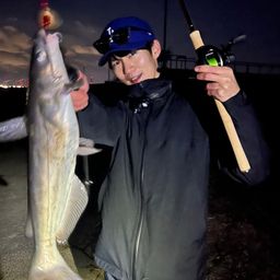 アメリカナマズ