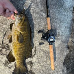 スモールマウスバス