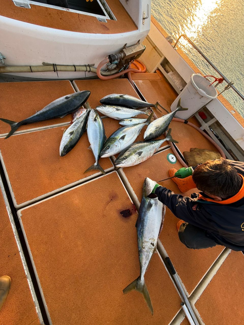 釣り暮らしさんの釣果 3枚目の画像