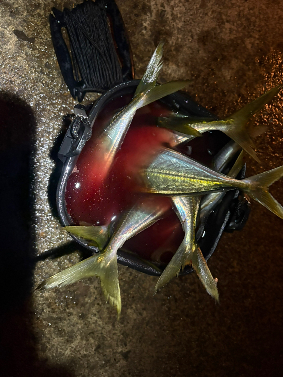 AbuGarcia エラディケーター リアルフィネス プロトタイプ ERFS