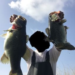 ブラックバス