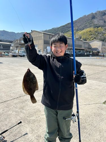カレイの釣果