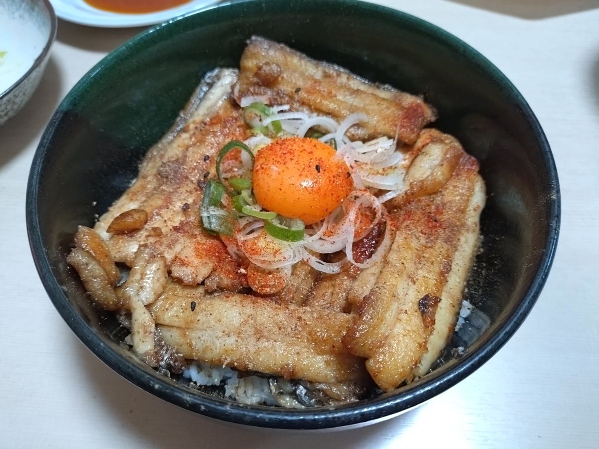 ユウチャンメンさんの釣果 2枚目の画像