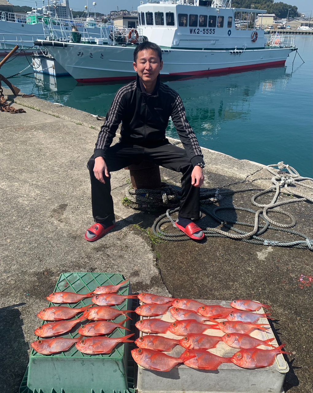 masayuki04061128さんの釣果 2枚目の画像