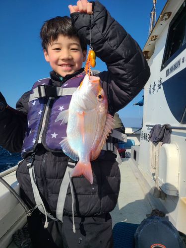 レンコダイの釣果