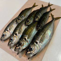 アジ