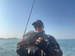 クロダイの釣果