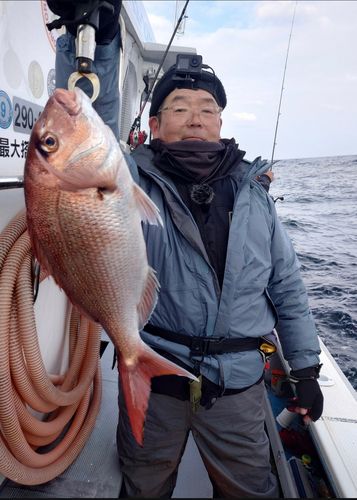 マダイの釣果