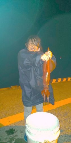 アカイカの釣果