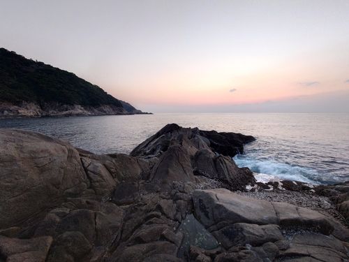 クチブトグレの釣果