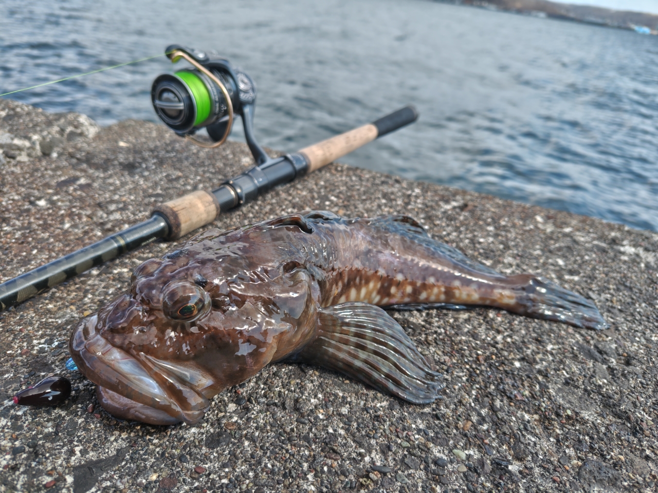AbuGarcia ソルティーステージ・ロックフィッシュ SXRS-862MH-LA