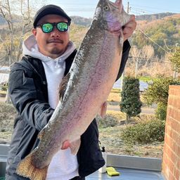 スチールヘッド