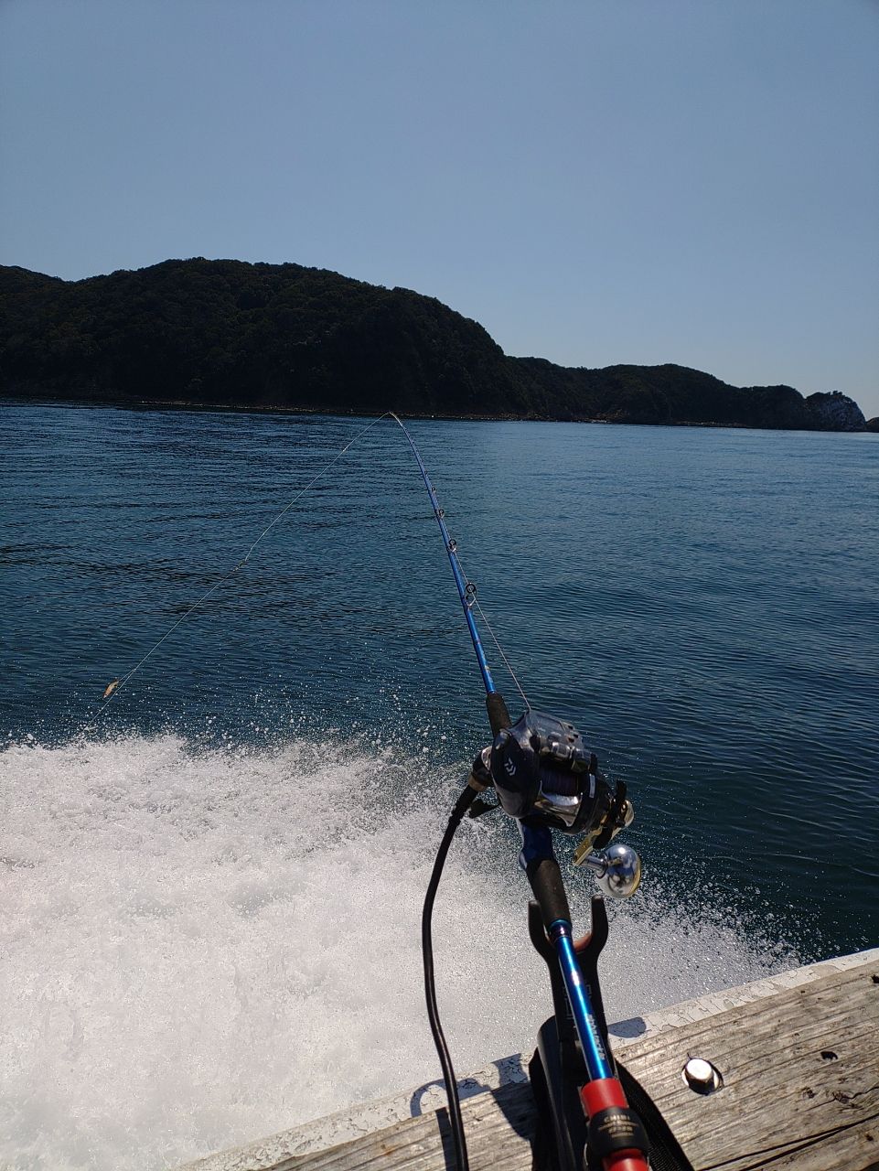 HOIHOI5963さんの釣果 3枚目の画像