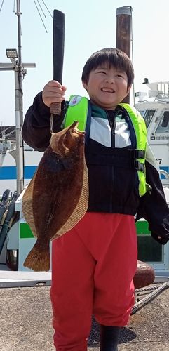 ヒラメの釣果