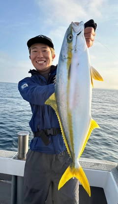 ヒラマサの釣果