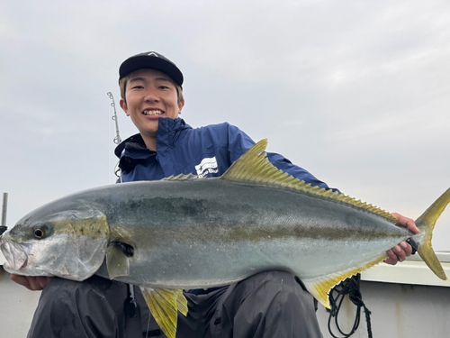 ヒラマサの釣果