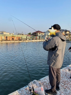 トラウトの釣果